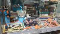TOYS