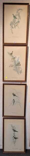 FRAMED PRINTS