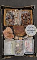 MINERAL SPECIMENS
