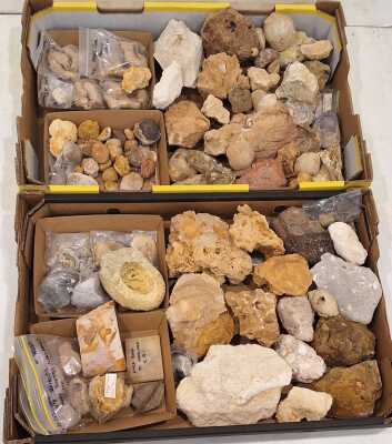 Fossils
