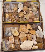 FOSSILS