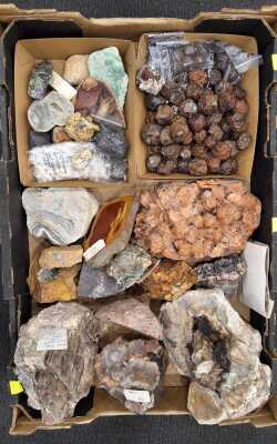 Mineral Specimens
