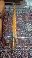WALKING STICKS