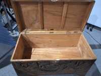 CAMPHORWOOD TRUNK - 2