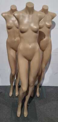 Three full size female forms, (no head or arms), on glass stands, height: 157cm.