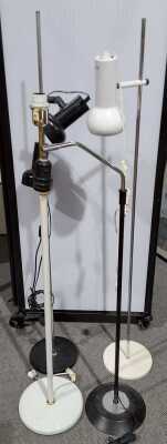 Floor Lamp Lot