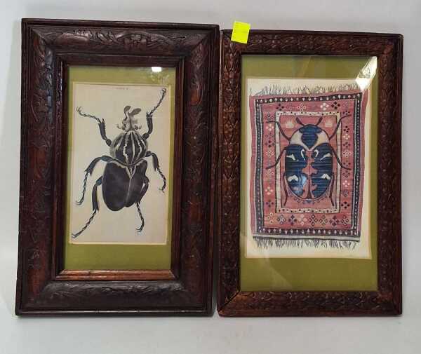 BEETLE FRAMES