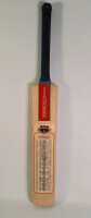 CRICKET BAT - 2