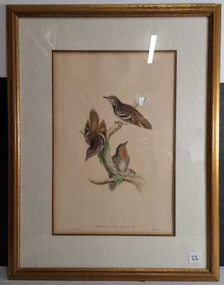 Gould, John & Hart, William