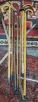 WALKING STICKS