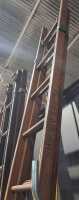 LADDERS - 3