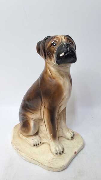 BOXER ORNAMNET