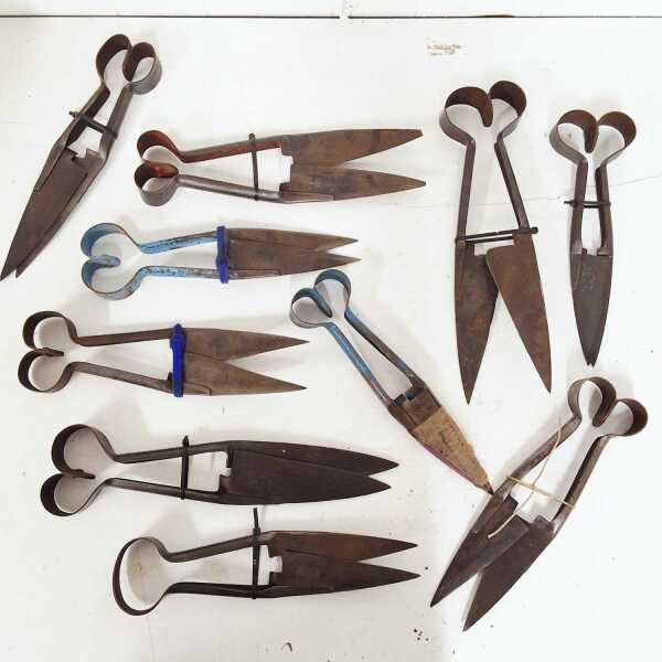 SHEARS