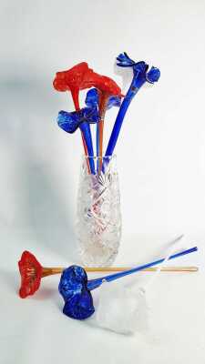 Glass Flowers