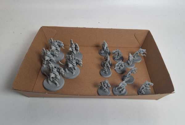 WARHAMMER: TYRANIDS