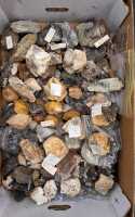 MINERAL SPECIMENS