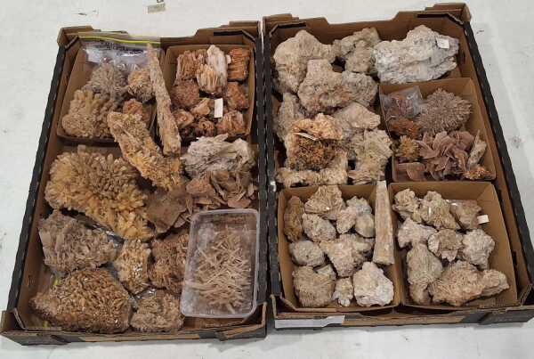 GYPSUM SPECIMENS