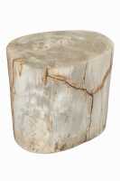 PETRIFIED WOOD LOG