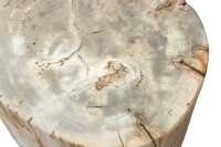 PETRIFIED WOOD LOG - 3