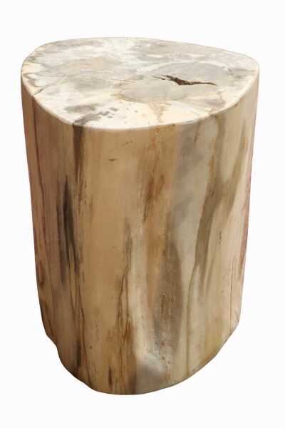 PETRIFIED WOOD LOG