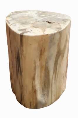 89 · PETRIFIED WOOD LOG