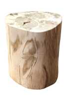 PETRIFIED WOOD LOG - 2