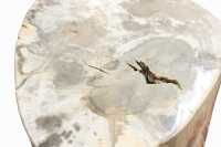 PETRIFIED WOOD LOG - 3