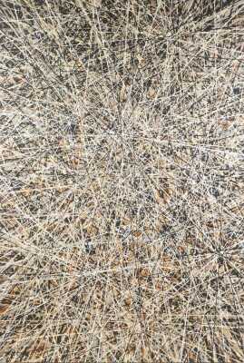 FREDDY PURLA (Australia, Aboriginal, 1968- )