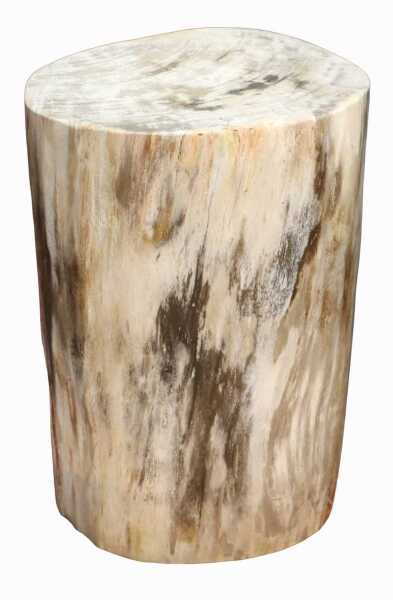 PETRIFIED WOOD LOG