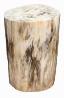 PETRIFIED WOOD LOG