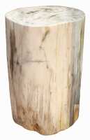 PETRIFIED WOOD LOG - 2