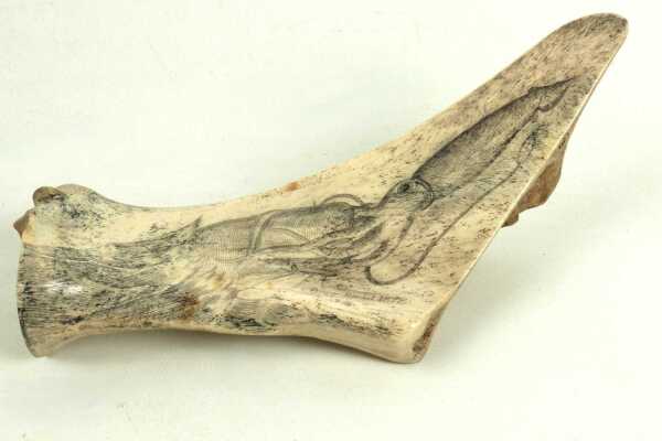 SCRIMSHAW CARVING