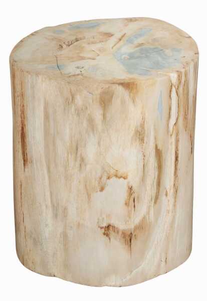 PETRIFIED WOOD LOG
