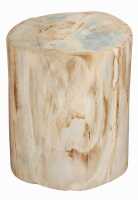 PETRIFIED WOOD LOG