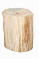 PETRIFIED WOOD LOG - 2