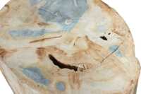 PETRIFIED WOOD LOG - 3