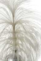 FIBRE OPTIC LAMP - 3