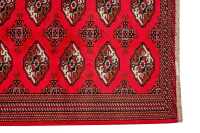 PERSIAN ENTRANCE RUG - 3