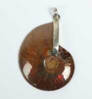 FOSSIL PENDANT