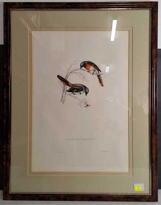 Gould, John (Elizabeth)