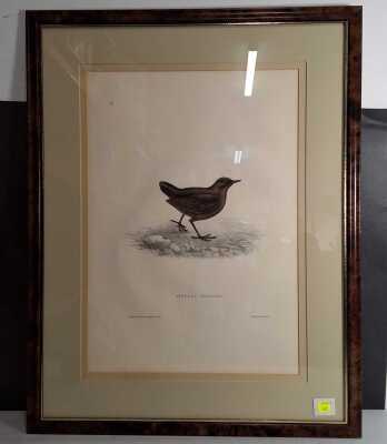 Gould, John (Elizabeth Gould)