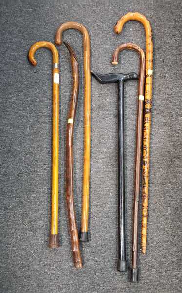 WALKING STICKS