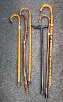 Walking Sticks