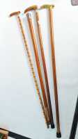 TIMBER CANES - 2