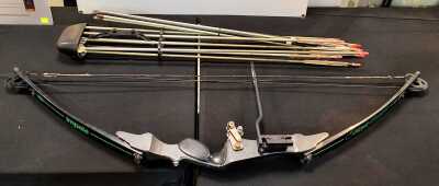 Compound Bow
