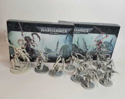 Warhammer: Lictors