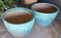LARGE CERAMIC PLANTS