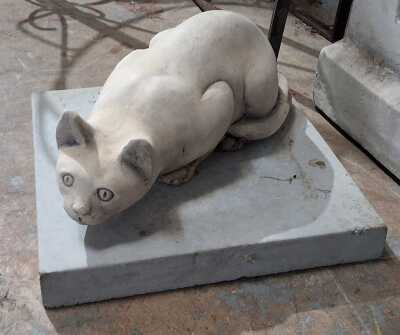 Prowling Cat