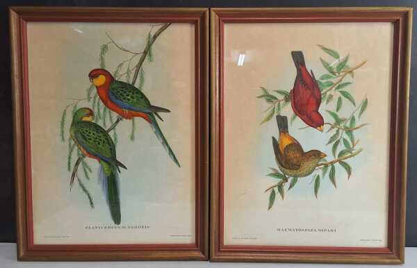 JOHN GOULD
