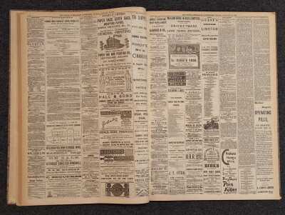 The Sa Advertiser 1888